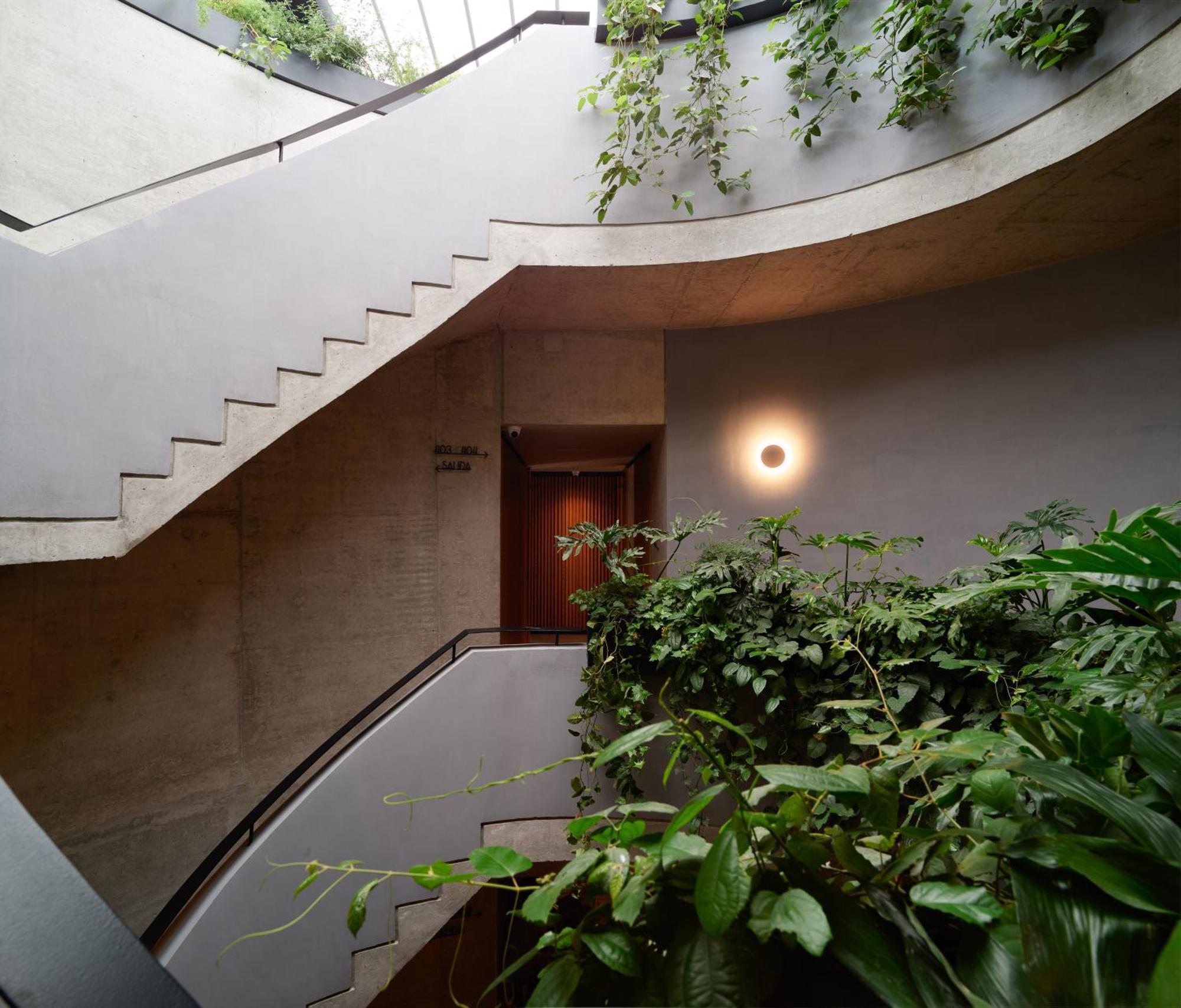 Maison Mexico Roma Zewnętrze zdjęcie